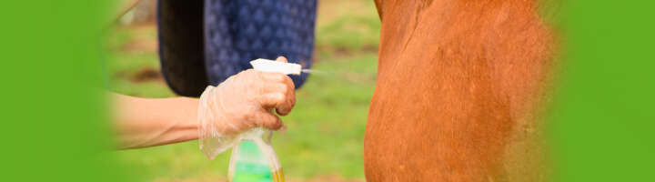 insektenschutz kategorieeinstiegsbanner